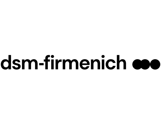 LogoTipo DSM